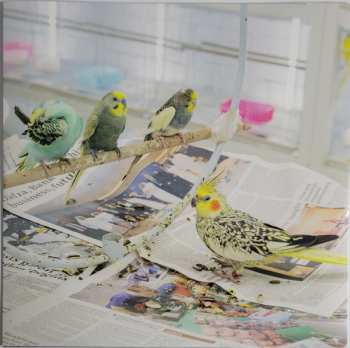 LP Superchunk: Wild Loneliness CLR | LTD