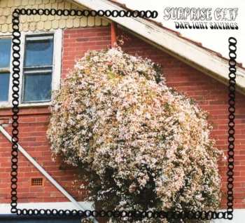 CD Surprise Chef: Daylight Savings