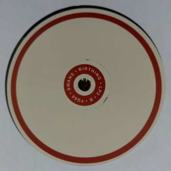 2CD Swans: Birthing