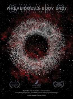 DVD Swans: Where Does A Body End?