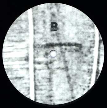 LP Sweeps 04: Dormancy