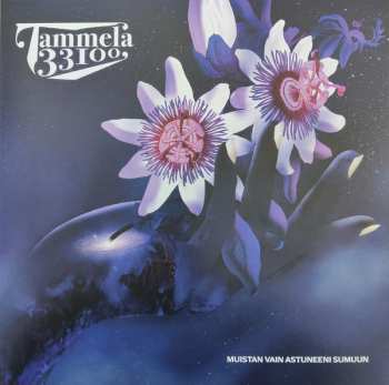 LP Tammela 33100: Muistan Vain Astuneeni Sumuun