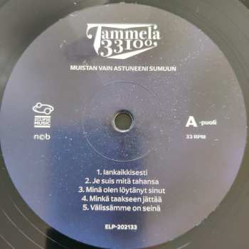 LP Tammela 33100: Muistan Vain Astuneeni Sumuun