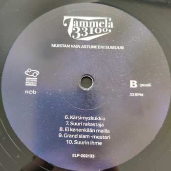 LP Tammela 33100: Muistan Vain Astuneeni Sumuun