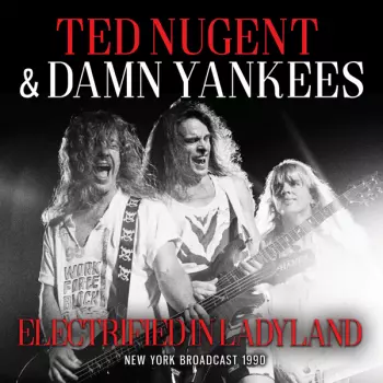Electrified In Laydyland