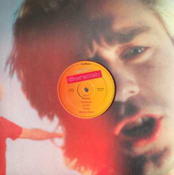 LP Teddy's Hit: Scratch CLR | LTD