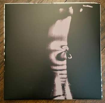 LP Teenage Fanclub: Nothing Lasts Forever CLR | LTD