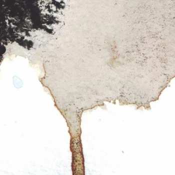 LP Telescopes/the Flavor Cry: Tour Split