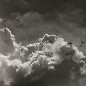 LP Tempers: Services