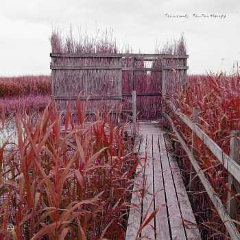 CD Tenniscoats: Tan-Tan Therapy