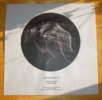 LP Terence Hannum: Spectral Life