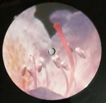 LP Teresa Winter: Proserpine