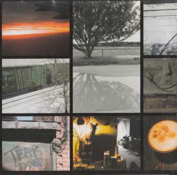 CD Thalia Zedek: Trust Not Those In Whom Without Some Touch Of Madness