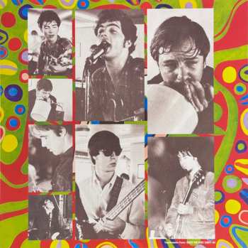 LP 13th Floor Elevators: The Psychedelic Sounds Of The 13th Floor Elevators