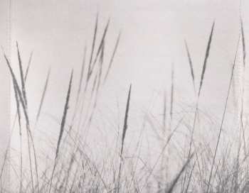 CD The Abrams: The Abrams