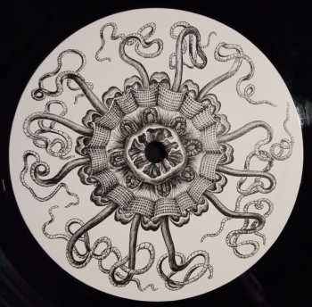LP The Amazing Snakeheads: Amphetamine Ballads