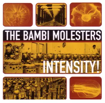 The Bambi Molesters: Intensity!