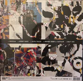 LP The Barr Brothers: Alta Falls LTD | CLR