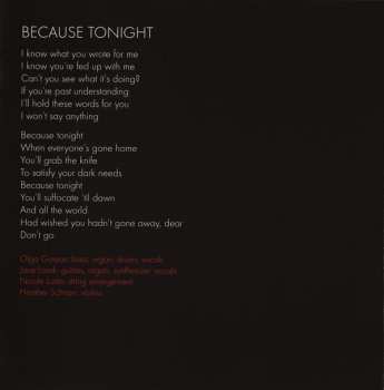 CD The Besnard Lakes: The Besnard Lakes Are The Dark Horse