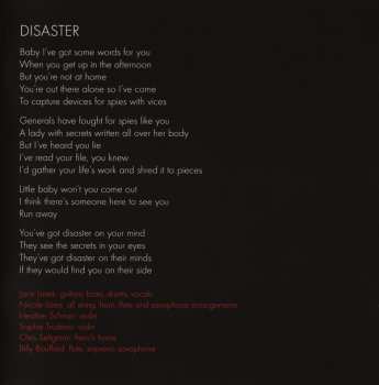 CD The Besnard Lakes: The Besnard Lakes Are The Dark Horse