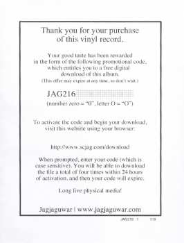 LP The Besnard Lakes: You Lived In The City