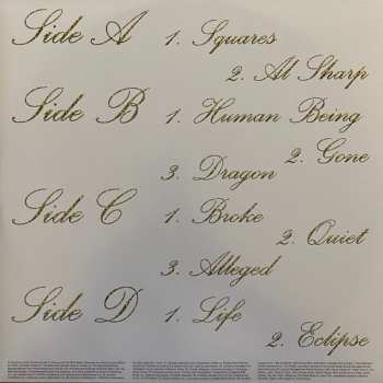 2LP/CD The Beta Band: Hot Shots II CLR | LTD