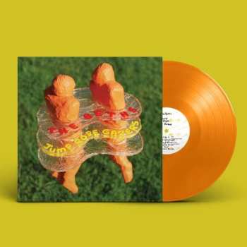 LP The Beths: Jump Rope Gazers