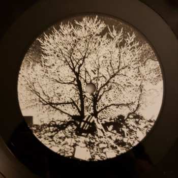 2LP The Bevis Frond: New River Head