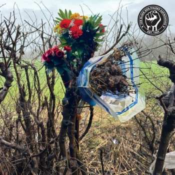 CD The Black Dog: Sleep Deprivation LTD