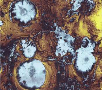 CD The Black Queen: Infinite Games