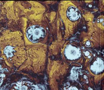 CD The Black Queen: Infinite Games