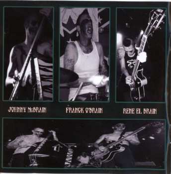 CD The Brains: No Brain, No Pain