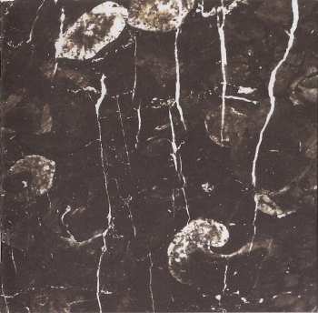 CD The Callas: Am I Vertical?