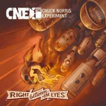 CD The Chuck Norris Experiment: Right Between The Eyes