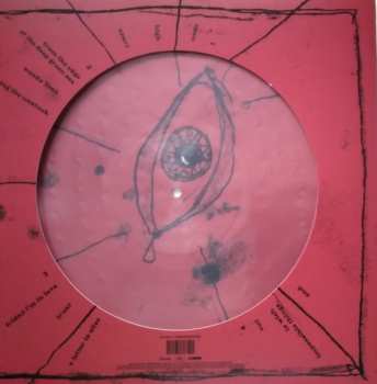 2LP The Cure: Wish PIC | LTD