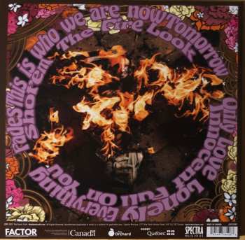 LP The Damn Truth: Now Or Nowhere CLR