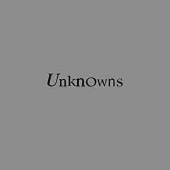 CD The Dead C: Unknowns