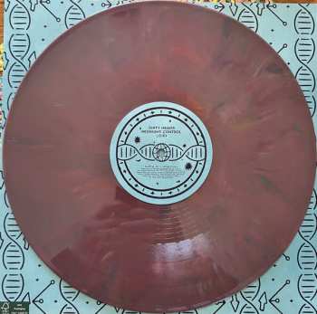 4LP/Box Set The Dirty Heads: Midnight Control DLX | CLR