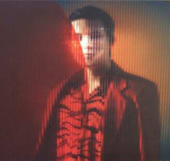 CD The Dumplings: Raj