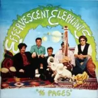 The Effervescent Elephants: 16 Pages