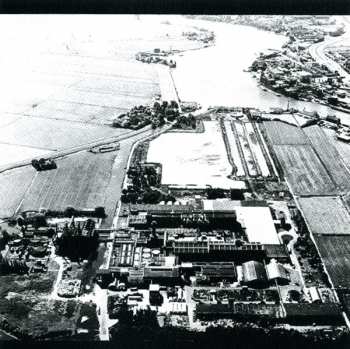 CD/Box Set The Ex: Dignity Of Labour