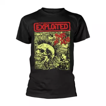 T-Shirt Punks Not Dead (black)
