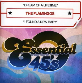 The Flamingos: Dream Of A Lifetime