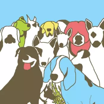 The Format: Dog Problems
