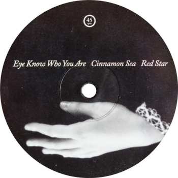 LP The Garbage & The Flowers: Cinnamon Sea