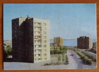 LP The Garbage & The Flowers: Cinnamon Sea