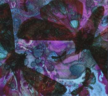 Album The Gentle Good: Y Gwyfyn