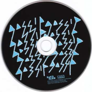 CD The Gossip: Standing In The Way Of Control