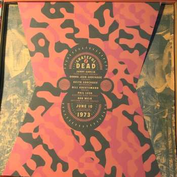 8LP/Box Set The Grateful Dead: RFK Stadium, Washington, D.C. 6/10/73  LTD
