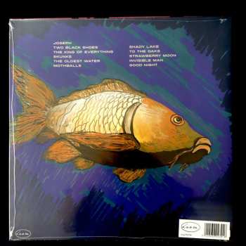 LP The Handsome Family: Hollow